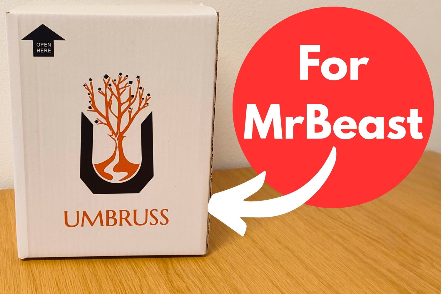 When MrBeast Ordered from Umbruss