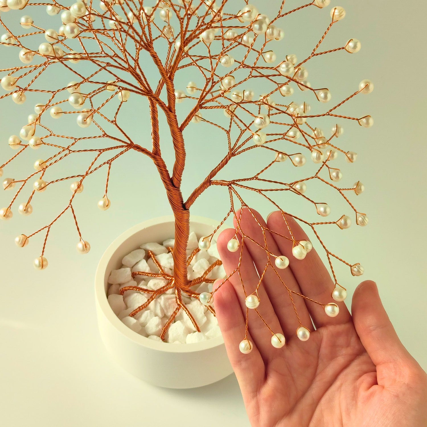 180 of freshwater white pearl compared with hand to show size and proportion