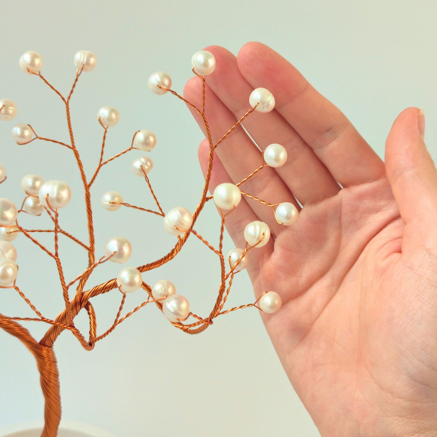 54 of freshwater white pearl compared with hand to show size and proportion