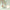 Close-up of copper wire branch with 280 natural prehnite gemstone – elegant detail