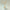 360° video of handmade gold jewelry tree with ceramic bowl and decorative white stones